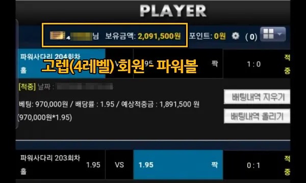 스마일 플레이어 먹튀 2.jpg
